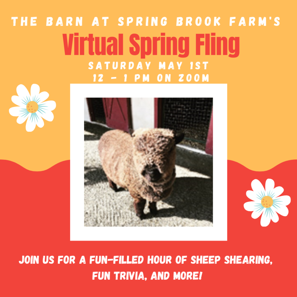 The Barn's Spring Fling (1)